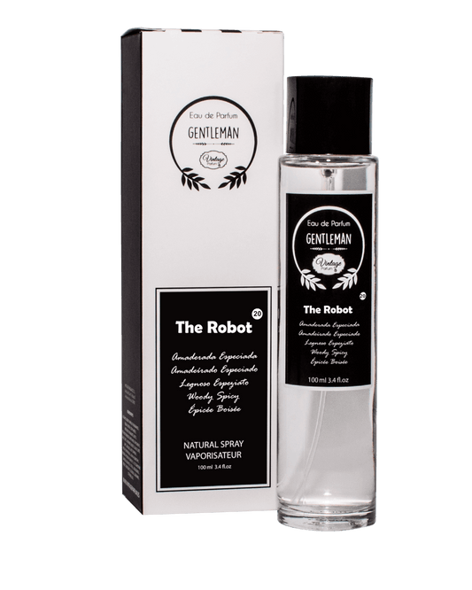 Nº20 The Robot Vintage masculino - Storettastic