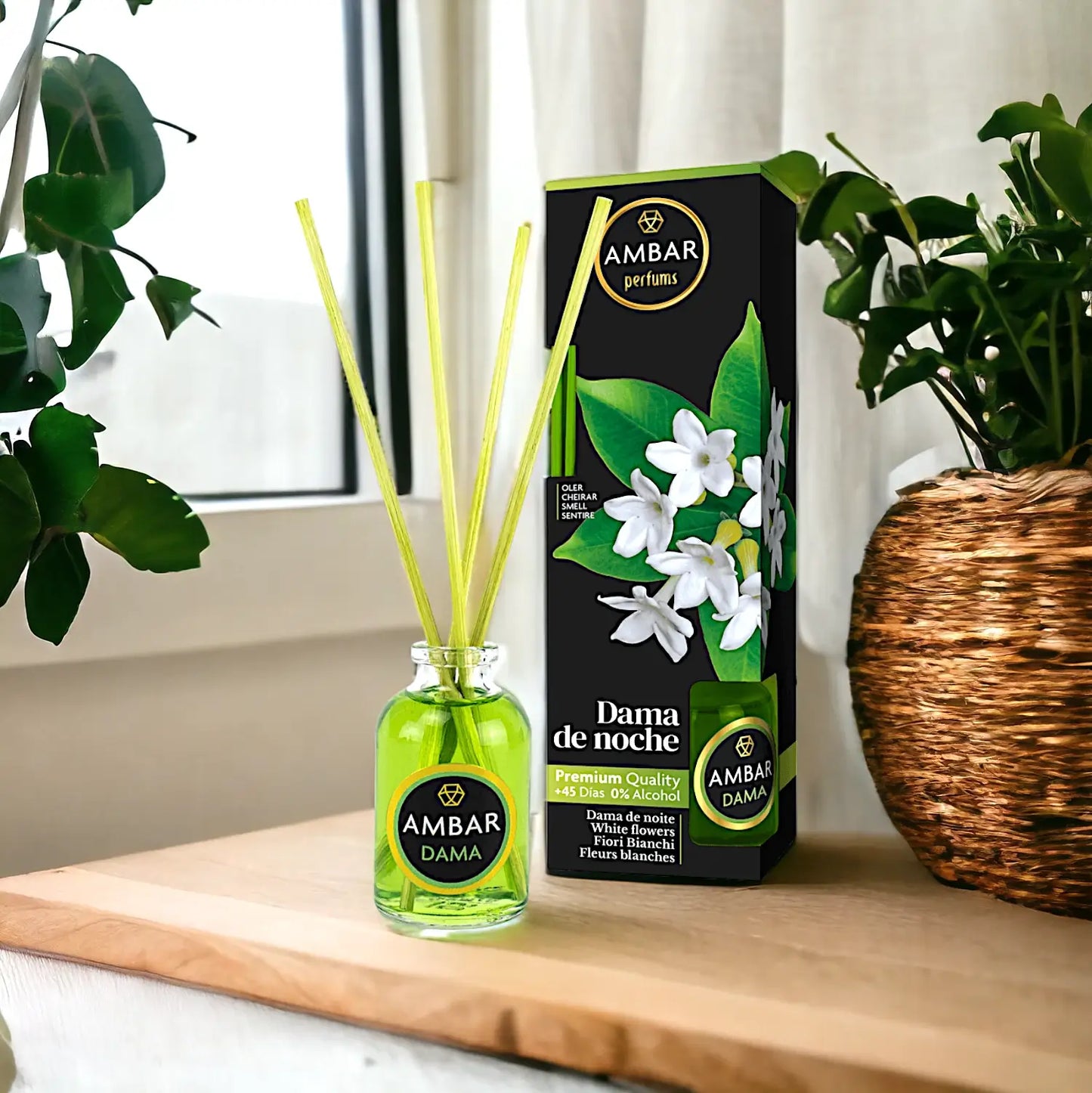 Dama da Noite - Mikado Âmbar - Storettastic