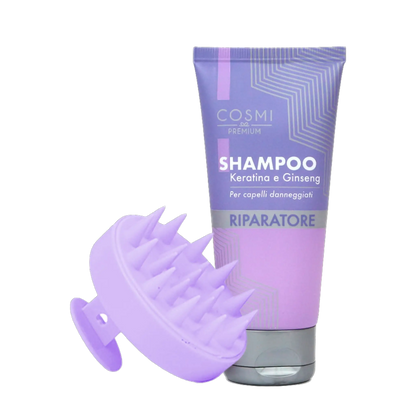 Kit de champú y cepillo