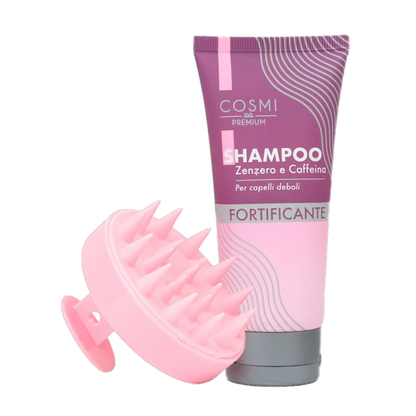 Kit de champú y cepillo